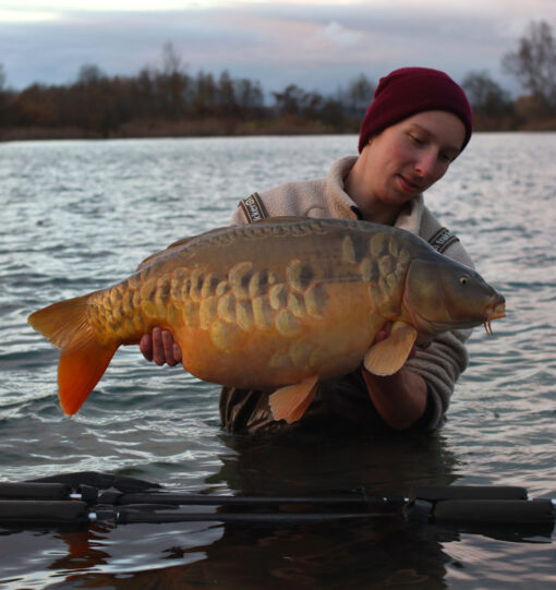 Beanies für Karpfenangler: nachhaltige Karpfen Beanie für Angler hier bestellen. Tolle Karpfen Mütze für Angler.