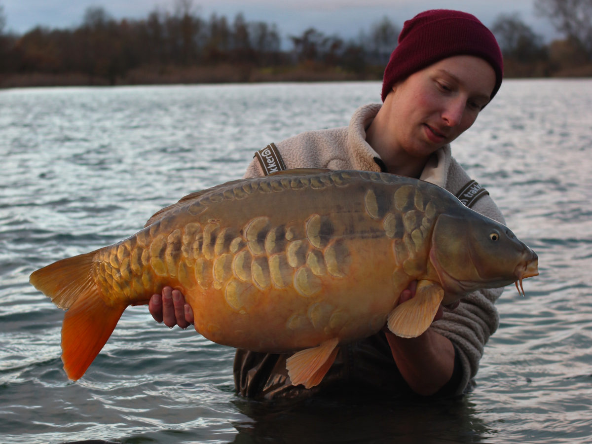 Beanies für Karpfenangler hier bestellen. Tolle Karpfen Mützen als Geschenk für Angler.