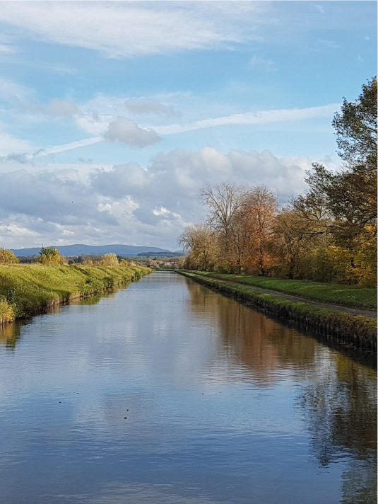 Karpfenangeln am Kanal: T-Shirts für Karpfenangler mit Canal Madness Aufdruck.