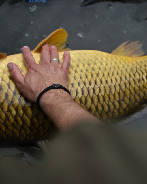 Armband für Karpfenangler: ein tolles Geschenk für Angler.