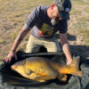 Angler T-Shirt mit einem drillenden Karpfenangler. Das Fish On T-Shirt für Karpfenangler.