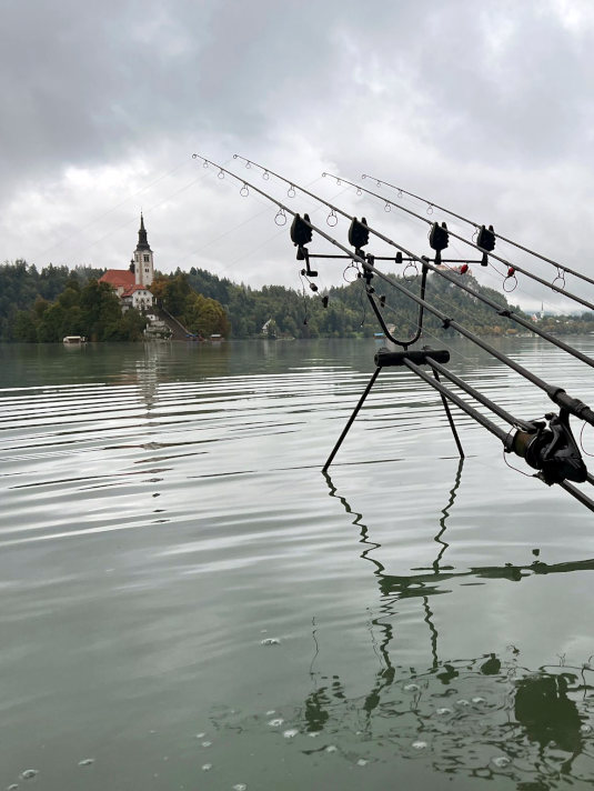 Karpfenangeln am Bleder See.